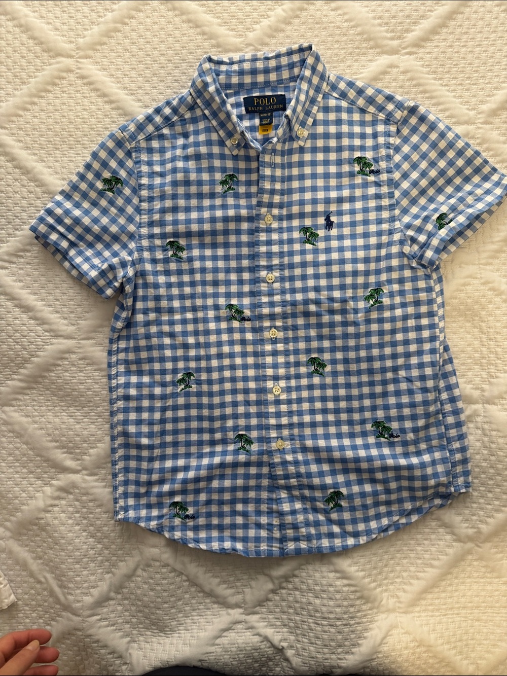 Polo by Ralph Lauren Blue Gingham Short-Sleeve Button-Down Shirt
